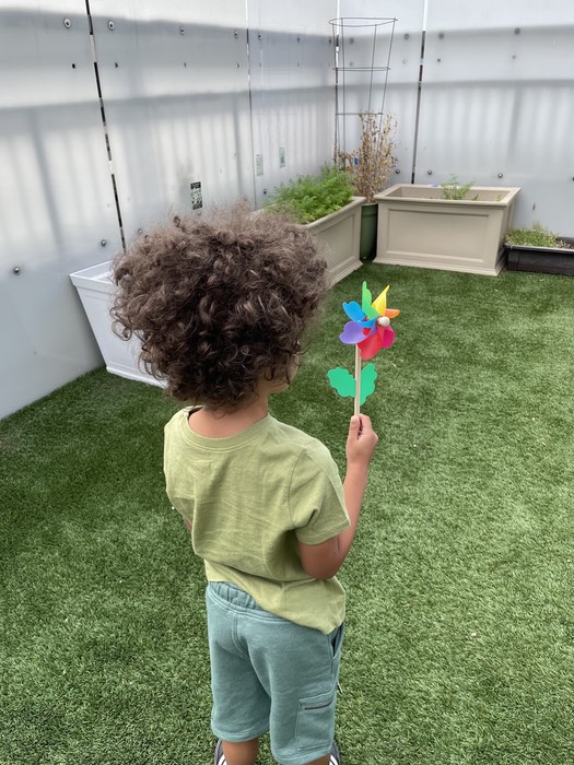 We see the back of a small child in a green shirt with green shorts holding a pinwheel outside in a yard.